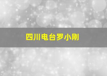 四川电台罗小刚