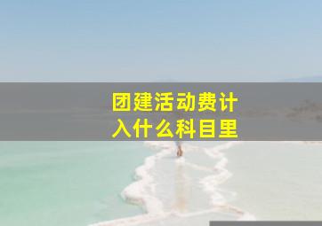 团建活动费计入什么科目里