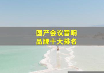 国产会议音响品牌十大排名