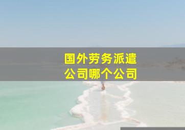 国外劳务派遣公司哪个公司