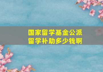 国家留学基金公派留学补助多少钱啊