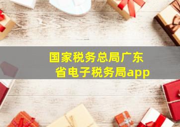 国家税务总局广东省电子税务局app