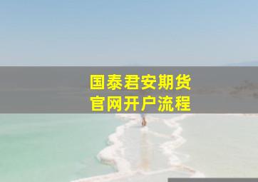 国泰君安期货官网开户流程