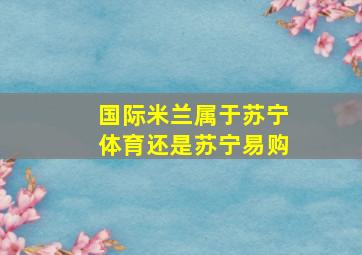 国际米兰属于苏宁体育还是苏宁易购