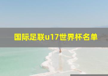 国际足联u17世界杯名单