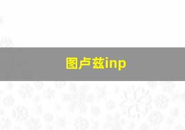 图卢兹inp