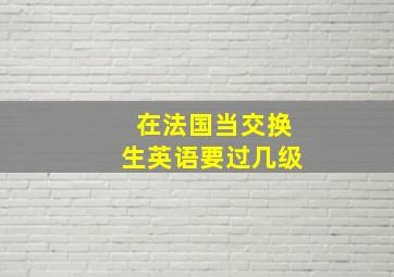 在法国当交换生英语要过几级