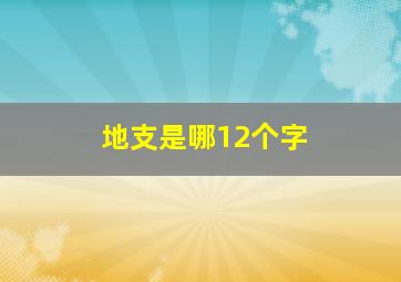 地支是哪12个字