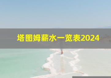 塔图姆薪水一览表2024