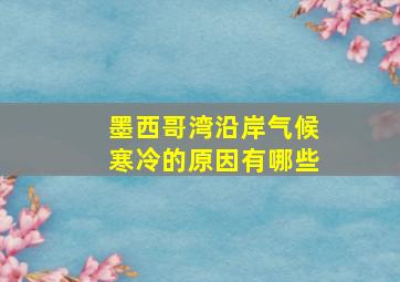 墨西哥湾沿岸气候寒冷的原因有哪些