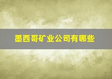 墨西哥矿业公司有哪些