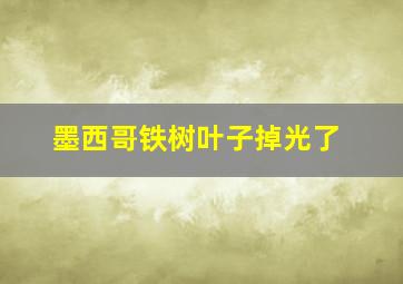 墨西哥铁树叶子掉光了