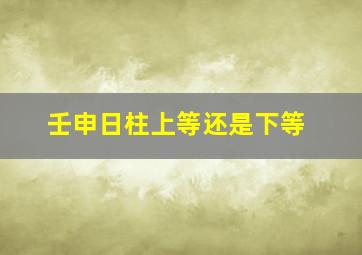 壬申日柱上等还是下等