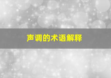 声调的术语解释