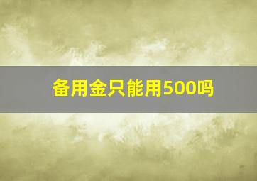 备用金只能用500吗