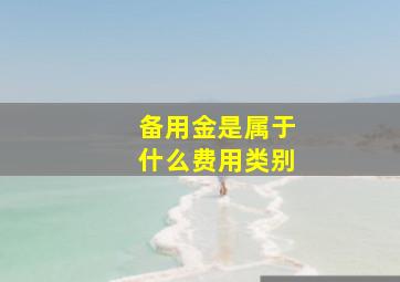 备用金是属于什么费用类别