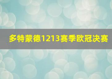 多特蒙德1213赛季欧冠决赛