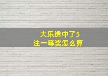 大乐透中了5注一等奖怎么算