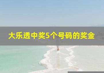 大乐透中奖5个号码的奖金