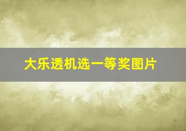 大乐透机选一等奖图片