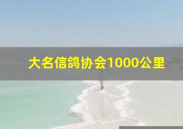 大名信鸽协会1000公里