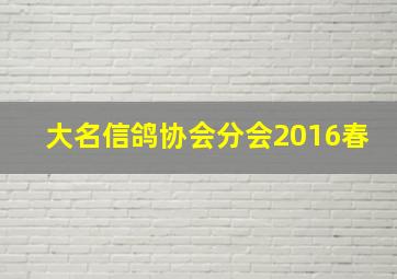 大名信鸽协会分会2016春