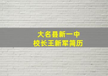 大名县新一中校长王新军简历