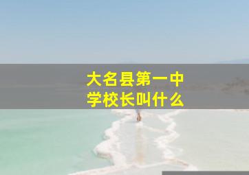 大名县第一中学校长叫什么