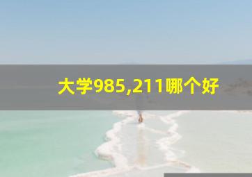 大学985,211哪个好