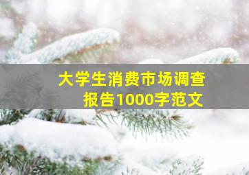 大学生消费市场调查报告1000字范文