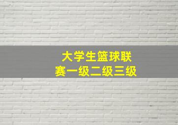 大学生篮球联赛一级二级三级