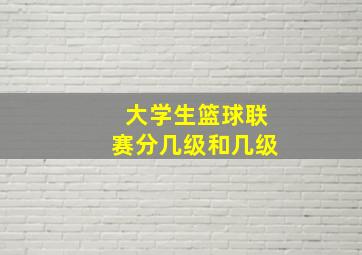 大学生篮球联赛分几级和几级