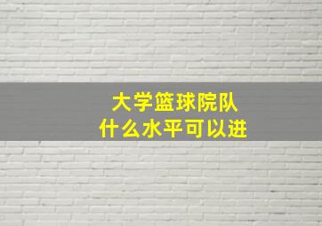 大学篮球院队什么水平可以进