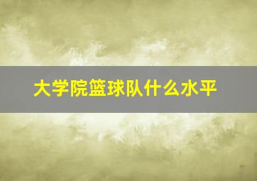 大学院篮球队什么水平