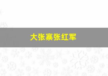 大张寨张红军