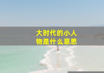 大时代的小人物是什么意思