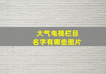 大气电视栏目名字有哪些图片