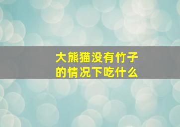 大熊猫没有竹子的情况下吃什么