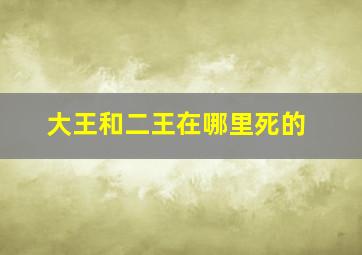 大王和二王在哪里死的