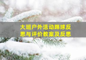 大班户外活动踢球反思与评价教案及反思