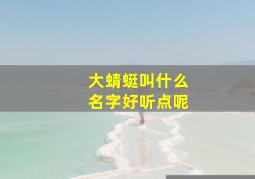 大蜻蜓叫什么名字好听点呢