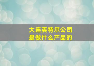 大连英特尔公司是做什么产品的