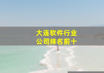 大连软件行业公司排名前十