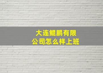 大连鲲鹏有限公司怎么样上班