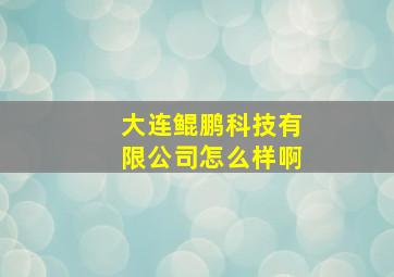 大连鲲鹏科技有限公司怎么样啊