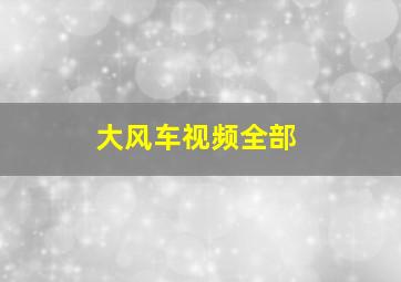 大风车视频全部