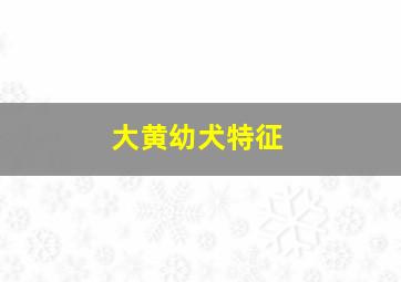 大黄幼犬特征