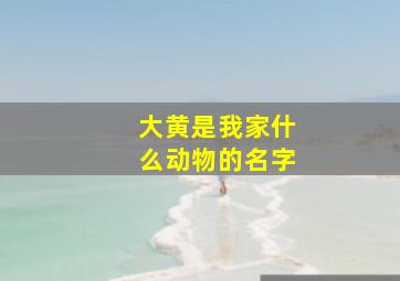 大黄是我家什么动物的名字