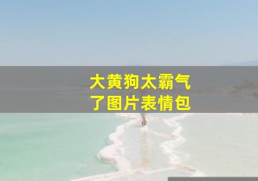 大黄狗太霸气了图片表情包