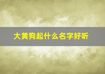 大黄狗起什么名字好听